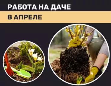 Работа на даче в апреле