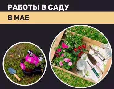 Работа на даче в мае