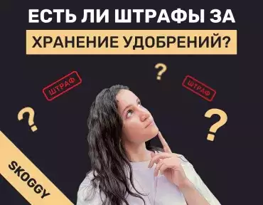 Как хранить удобрения и применяются ли санкции за нарушение правил - изучаем подробно в статье
