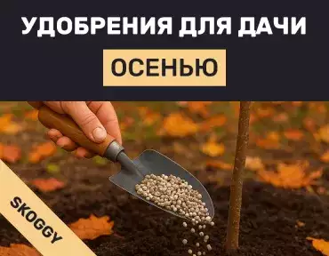 Какие удобрения нужны саду и огороду осенью